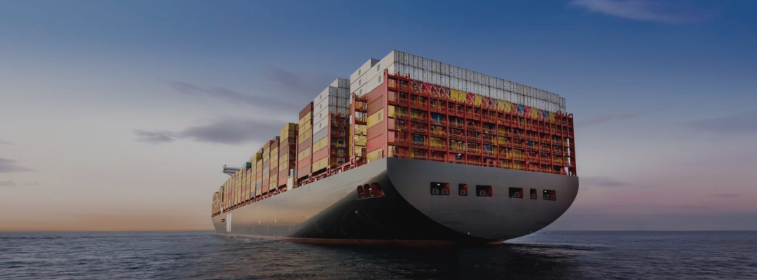 Public Health Bootcamp (3)